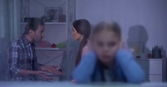 Child Custody Arguement